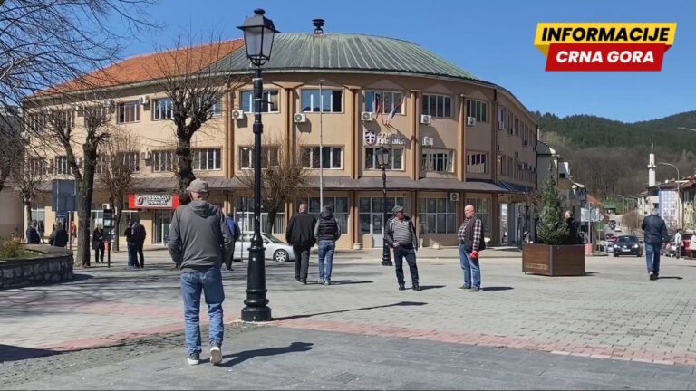 Društvo