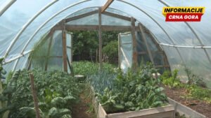 Urbana farma na Zabjelu: Kako transformira otpad u životne sredstva