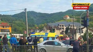 Crnogorski roditelj preminuo nakon napada pčele