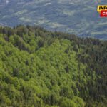 Nastavljaju se kontrole u šumama na prostoru Pljevalja i Mojkovca
