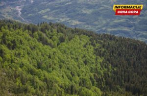 Nastavljaju se kontrole u šumama na prostoru Pljevalja i Mojkovca