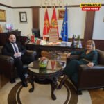 Pavličić i Božović novi predstavnici Crne Gore u Venecijanskoj komisiji