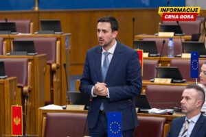Smailović: Predložili smo uvođenje naknade za materinstvo za partnerke preduzetnika