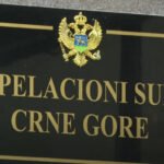Vijeć Apelacionog suda odlučio o žalbama protiv Vesne Medenice