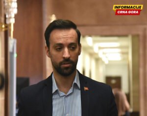 Zirojević: Ako Koprivica ima saznanja o mogućim podmetanjima požara, da ista odmah podijeli sa nadležnim organima