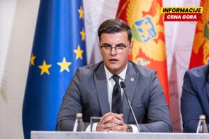 Šaranović u Briselu, planirani sastanci sa Kos, Šarecom i Brunerom