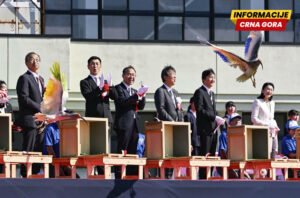Osam ibisa pušteno u divljinu, decenijama nakon njihovog izumiranja u Japanu