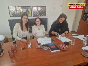 „Krađa, prekrađa i nekrađa” Vide Ognjenović