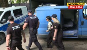 Medenica tvrdi da nije kriva što nije suspendovala Zekića