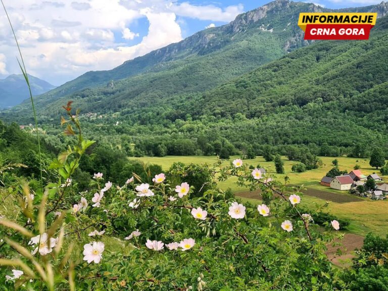 Konačno adaptacija puta ka Lipovu