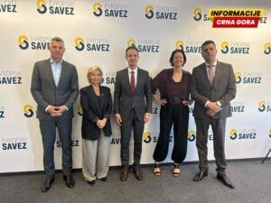 Vujović i Mugoša EU parlamentarcima: Želimo brz ulazak u EU, ali i suštinske reforme