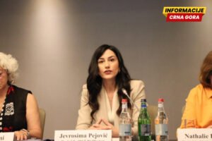 Pejović: Izbori u Jermeniji predstavljaju izazove političke polarizacije i hibridnih prijetnjama