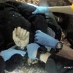 Faraž od tragedije pravi politiku bijesa