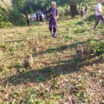 Bijelo Polje: Mještani MZ Zaton prilikom čišćenja mezarja otkrili nišane, kažu da neće dozvoliti uništavanje lokaliteta