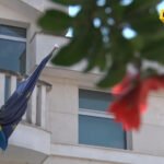 Delegacija EU: Transparentan izbor Savjeta RTCG ključni prioritet za ispunjavanje evropskih mjerila u vladavini prava