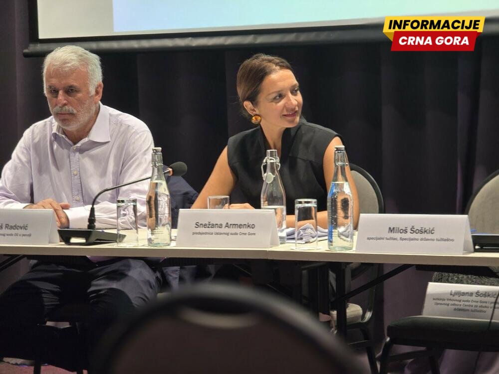Armenko: Praksa ESLJP ukazuje na potrebu stalnog unapređenja domaćeg sistema zaštite ljudskih prava