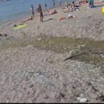 Opet fekalije u moru: Neslavan početak turističke sezone u Budvi