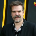 Harbor pričao o albumu Lili Alen u kojem pjeva o njihovom razlazu