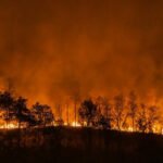 El Ninjo se formirao u Tihom okeanu: Očekuje se da će biti izuzetno jak i da će donijeti vrućinu, požare, poplave…
