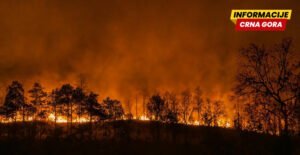 El Ninjo se formirao u Tihom okeanu: Očekuje se da će biti izuzetno jak i da će donijeti vrućinu, požare, poplave...