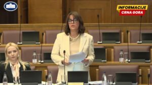 Vujović: Komentari izvršne vlasti na film "Referendum - priča o izmišljenoj slobodi" umanjili bi značaj odluke AMU-a
