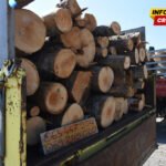 Ekološke mjere Opštine Bijelo Polje: Za klima uređaje 100.000 eura
