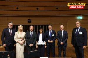 Gorčević: Crna Gora već doprinosi jačanju demokratske otpornosti Evrope