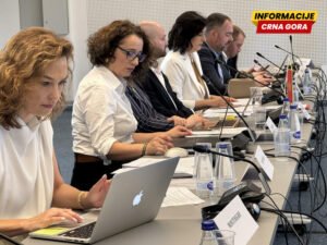 MEP: Veliki napredak Crne Gore u oblasti inovacija, ljudskih resursa, informatičkog društva i socijalne politike