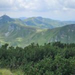 Šume se suše, pola miliona kubika za sječu