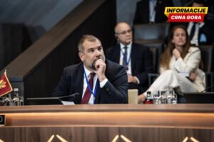 Krapović: Crna Gora je ostvarila značajne rezultate u sprovođenju odluka sa prošlogodišnjeg NATO samita u Hagu