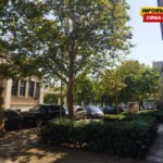 Vučedolska ulica u centru Podgorice zatvorena za saobraćaj zbog radova na rekonstrukciji