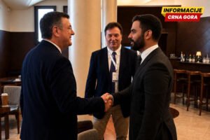 Radulović i Cicikostas: Poglavlje 14 spremno za zatvaranje