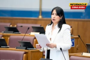 Vuković: Janović pokušava da zastraši novinarke, VDT da odbaci krivičnu prijavu