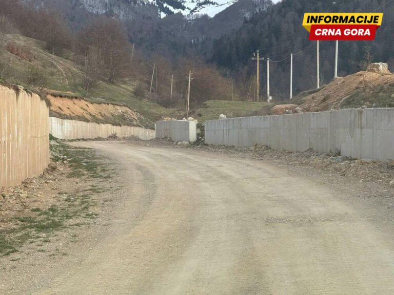 Društvo