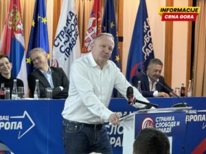 Đilas: Najgori kupac za NIS bio bi mađarski MOL