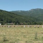 Mojkovački otkos i ove godine okupio brojne učesnike i posjetioce