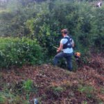 Uprkos kiši i danas organizovana akcija čišćenja starog groblja-mezarja na lokalitetu Klina