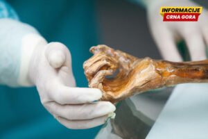 Naučnici otkrili dinamični mikrobni svijet Ecija, ledenog čovjeka