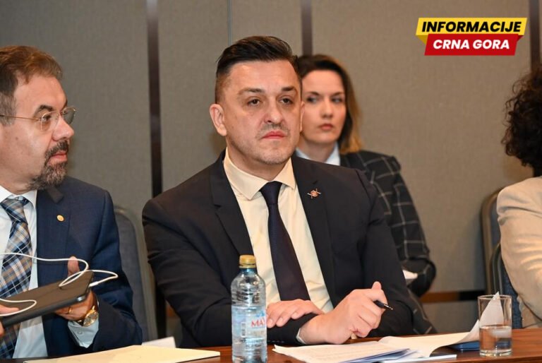 Vuković: Crna Gora je u završnoj fazi evropskih integracija fokusirana na jačanje fiskalne stabilnosti...