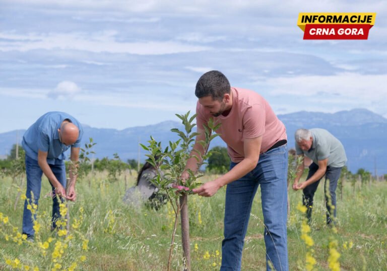 Čekajući oporavak i podršku Podgorice: Hladnjača “Plodova” dostupna za skladištenje 2.000 tona voća i povrća