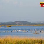 Prilika za oporavak je realna: Eksperti kažu da stanje Solane nije nimalo dobro, ali da postoje planovi za spas