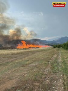 Podgorički vatrogasci gase požar u krugu Plantaža