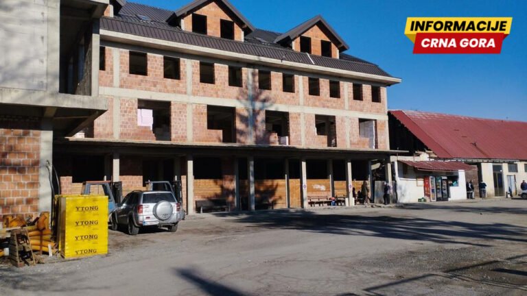 Društvo