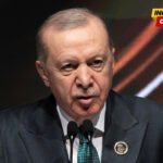 Erdogan guši kritičare uoči samita NATO-a