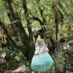 Očistite i zaštitite Mrtvicu: Inicijativa kolašinskih đaka