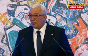 Mandić: 20 godina nakon ulaska u UN, imamo priliku da pokažemo da možemo biti i tradicionalni i moderni