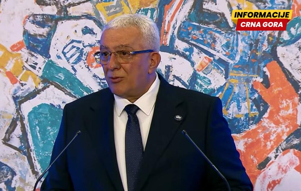 Mandić: 20 godina nakon ulaska u UN, imamo priliku da pokažemo da možemo biti i tradicionalni i moderni