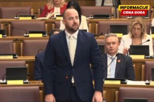 Nikolić: Mandić nema mandat da državne jubilje pretvara u platformu za reviziju karaktera države