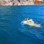 VIDEO Srna hrabro preplivala Pivsko jezero: “Priroda u Pivi ne prestaje da nas iznenađuje”