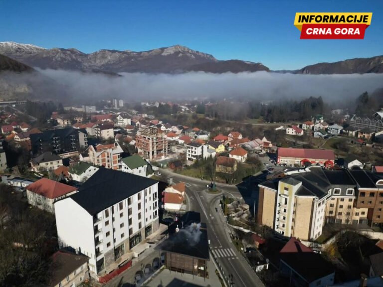 Društvo